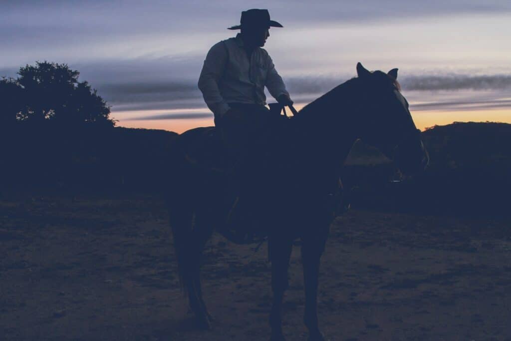 Silhouette of a cowboy on horseback at sunset, symbolizing Texas heritage and resilience